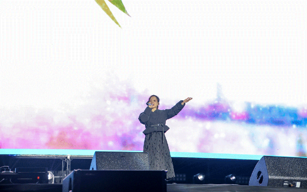 平陽體育中心群星演唱會！超萬人圍觀，現(xiàn)場火爆High唱！